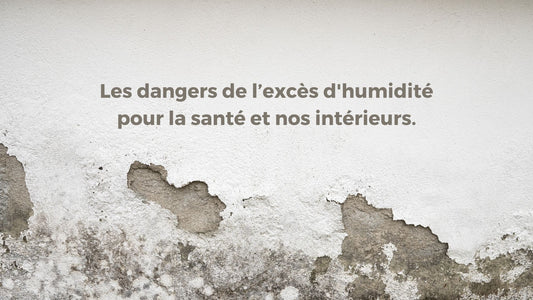 Pourquoi il est vitale de déshumidifier un intérieur en excès es d’humidité ?