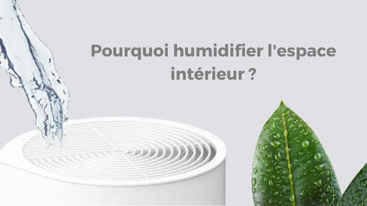 Pourquoi l'humidité est-elle importante pour la santé ?
