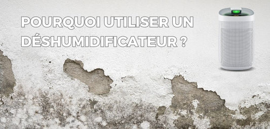 Pourquoi utiliser un déshumidificateur ?