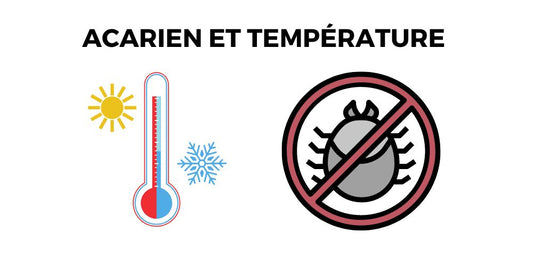 Les Acariens Meurent à Quelle Température ?