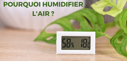 Pourquoi Humidifier l'Air ? Importance et Avantages des Humidificateurs d'Air