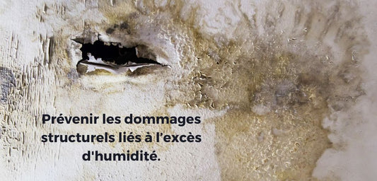 Les déshumidificateurs pour la prévention des dommages structurels.