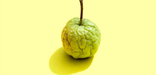L'importance d'une bonne humidité pour maintenir la fraîcheur des aliments.